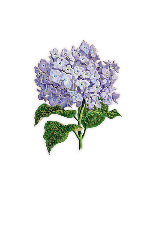 Editions Desastre ICONES