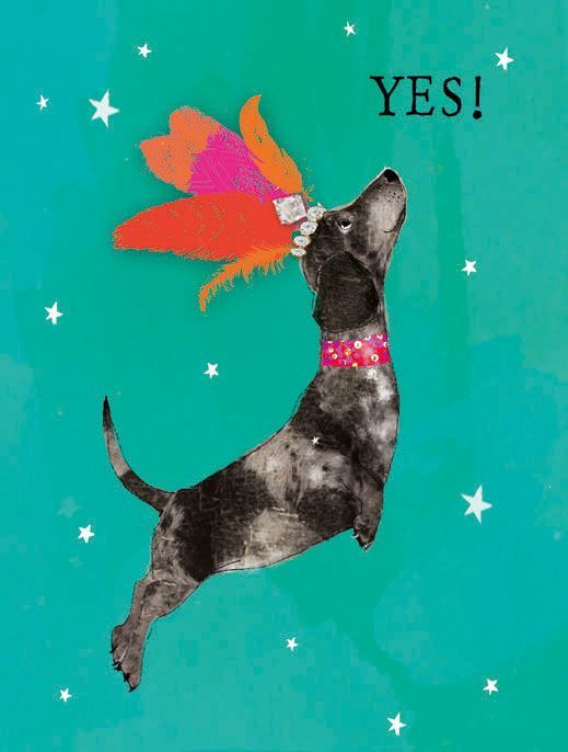 HG Fancy Pants 11,5 x 9 cm