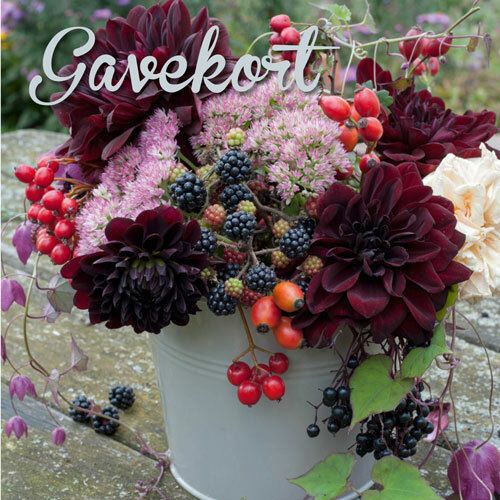 Hageland Gavekort m/konvolutt