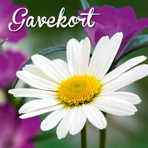 Hageland Gavekort m/konvolutt