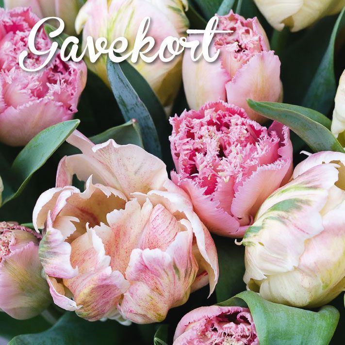 Hageland Gavekort m/konvolutt