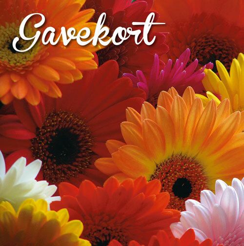 Hageland Gavekort m/konvolutt