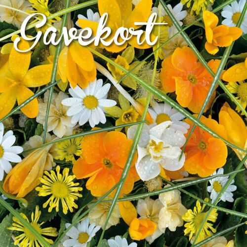 Hageland Gavekort m/konvolutt