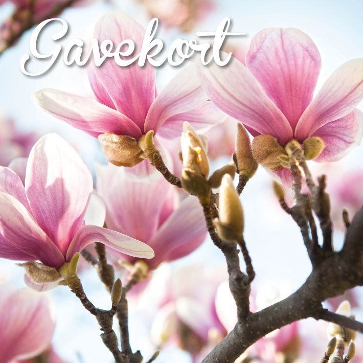 Hageland Gavekort m/konvolutt