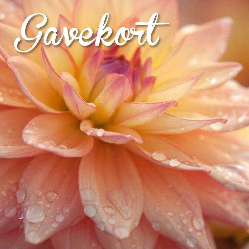 Hageland Gavekort m/konvolutt