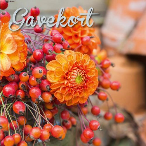 Hageland Gavekort m/konvolutt