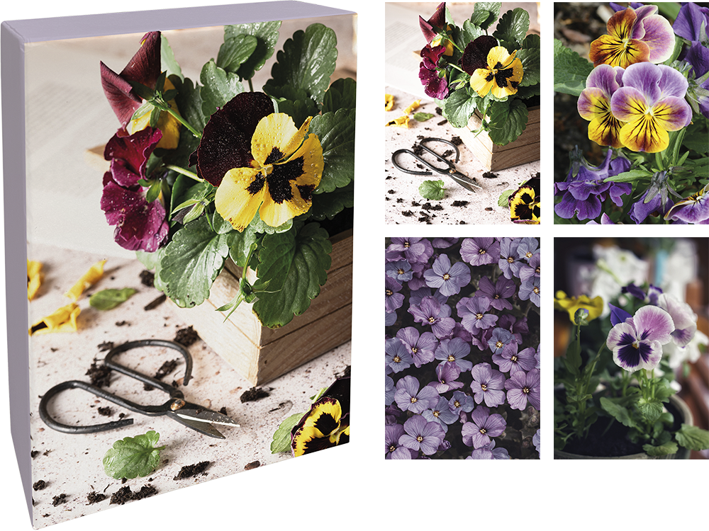 Paperly doble kort i eske