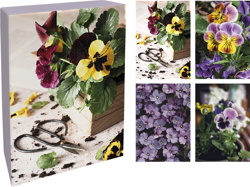 Paperly doble kort i eske