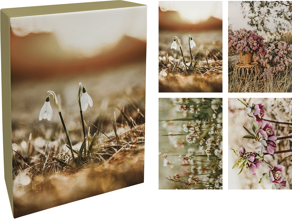 Paperly doble kort i eske