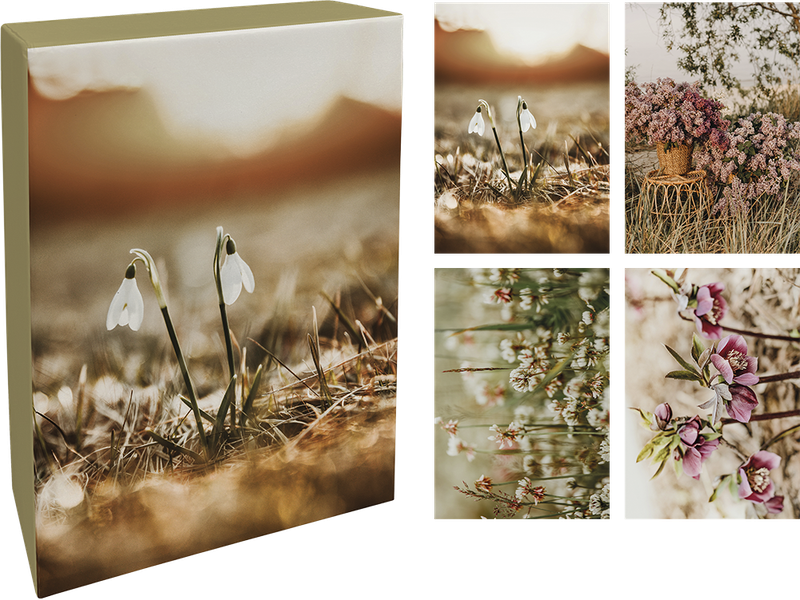 Paperly doble kort i eske