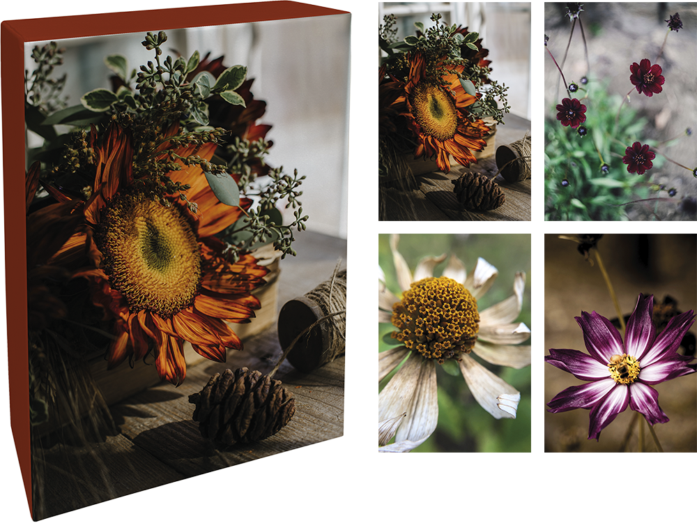 Paperly doble kort i eske