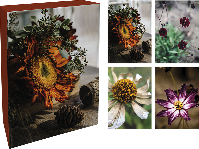 Paperly doble kort i eske