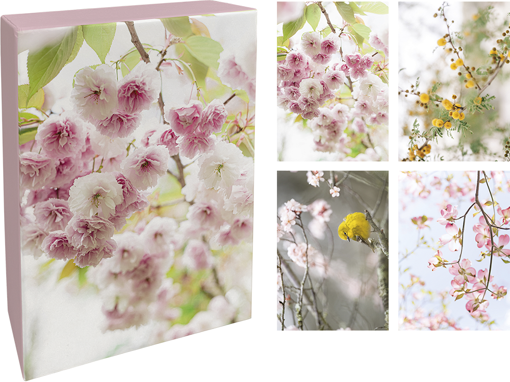 Paperly doble kort i eske