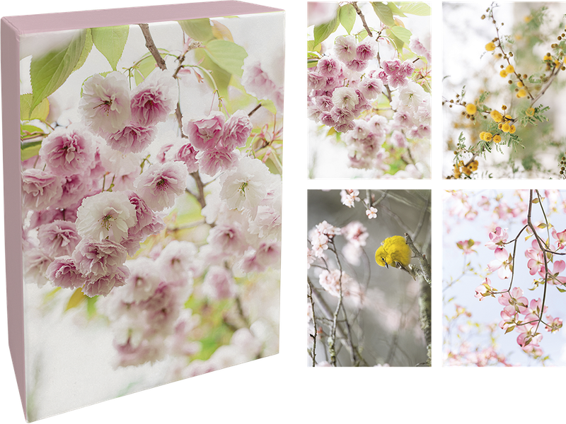 Paperly doble kort i eske