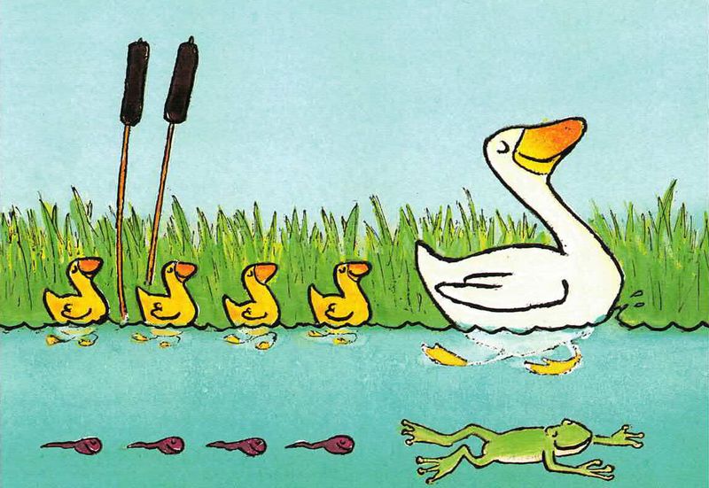 Nouvelle Barn Enkle Kort 10x15