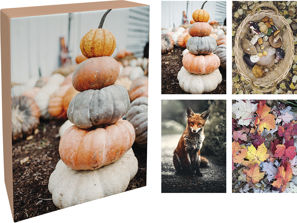 Paperly doble kort i eske