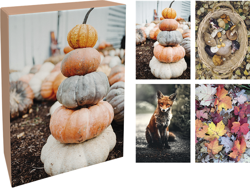 Paperly doble kort i eske