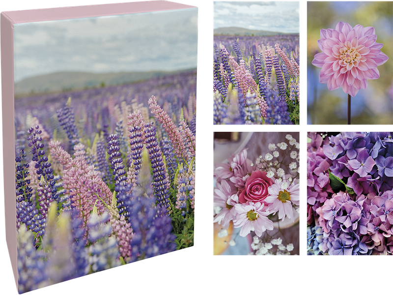 Paperly doble kort i eske