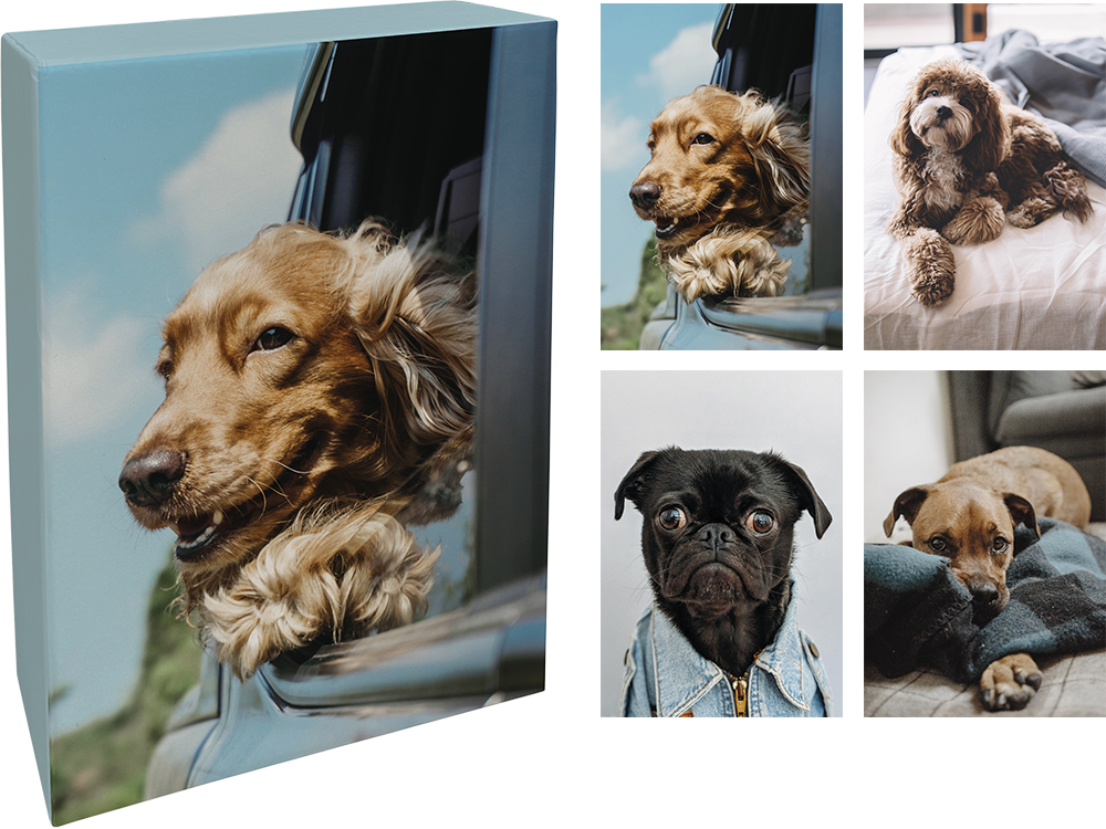 Paperly doble kort i eske