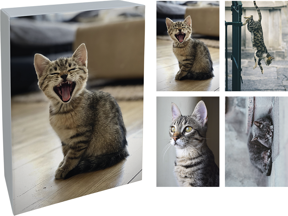 Paperly doble kort i eske