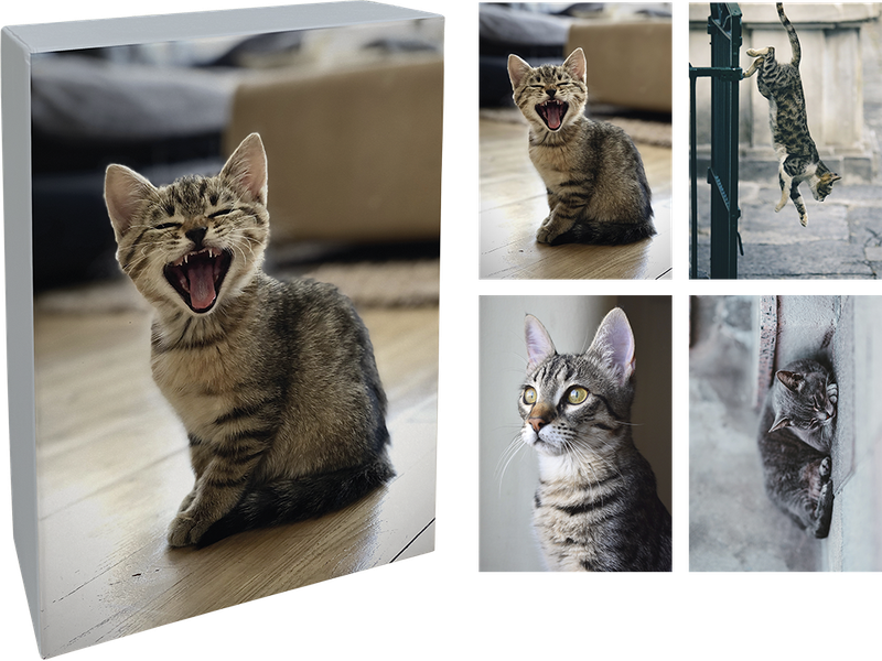 Paperly doble kort i eske