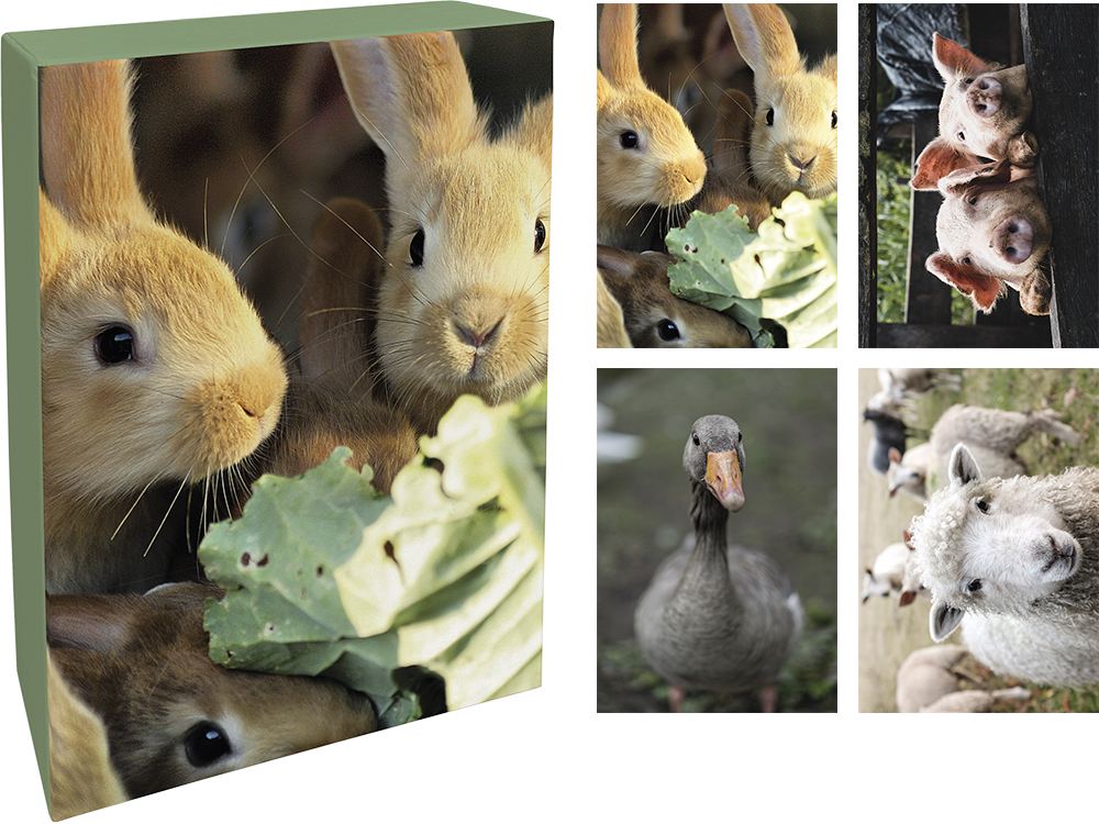 Paperly doble kort i eske