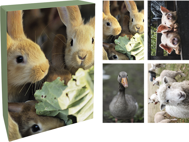 Paperly doble kort i eske