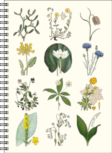 Gullers Trading Skrivebok A5 Linjert