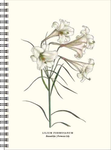 Gullers Trading Skrivebok A5 Linjert