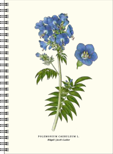 Gullers Trading Skrivebok A5 Linjert