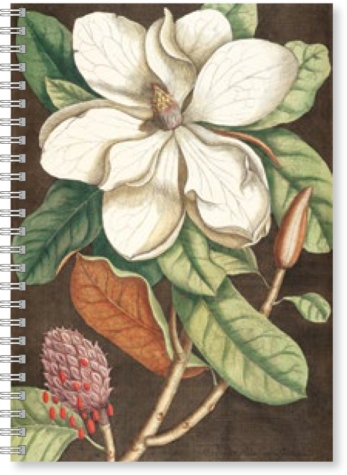 Gullers Trading Skrivebok A5 Linjert