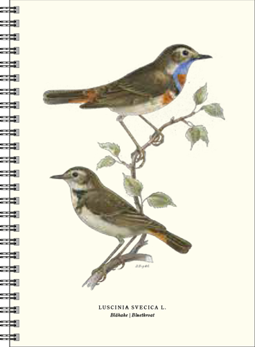 Gullers Trading Skrivebok A5 Linjert