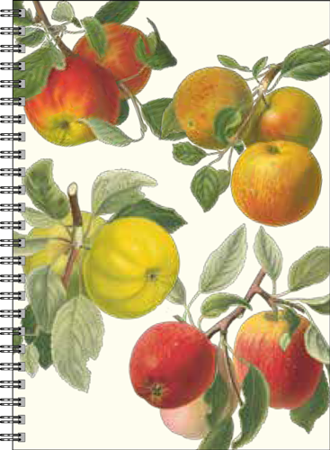 Gullers Trading Skrivebok A5 Linjert