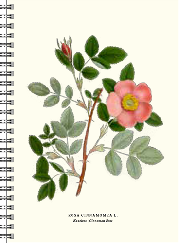 Gullers Trading Skrivebok A5 Linjert