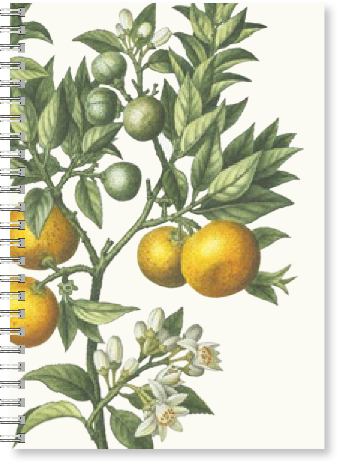 Gullers Trading Skrivebok A5 Linjert