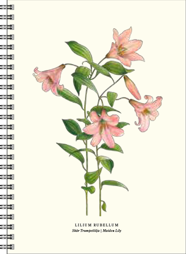 Gullers Trading Skrivebok A5 Linjert