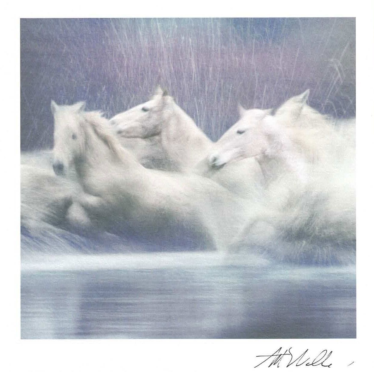 Lynn Tait 16x16 med konvolutt