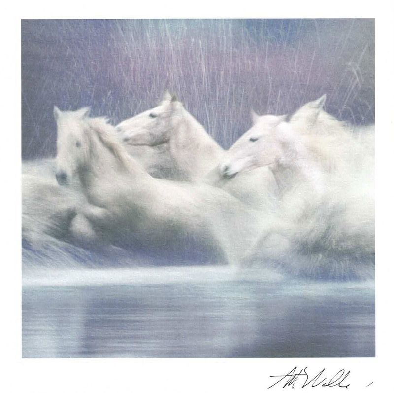 Lynn Tait 16x16 med konvolutt