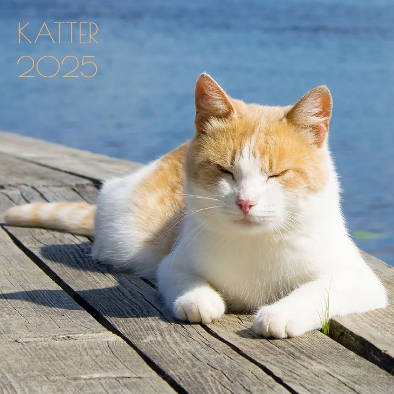 Vegg Kalender 18x18 Katt 2025