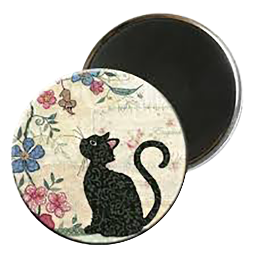 Kiub Kj�leskapsmagnet