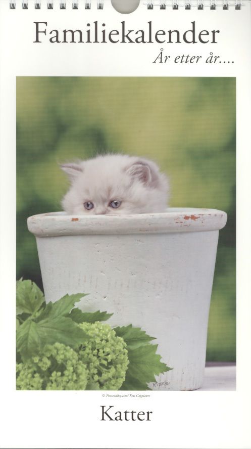 Familiekalender Katter