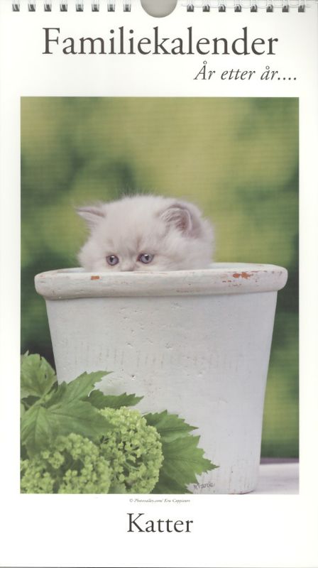Familiekalender Katter