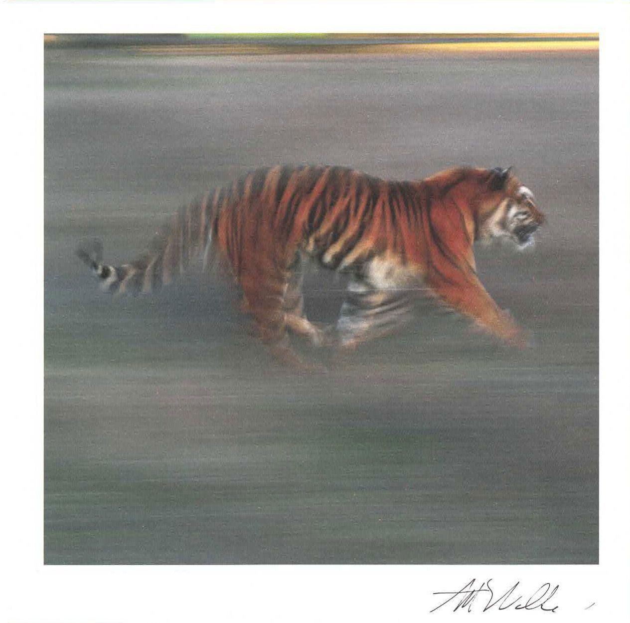 Lynn Tait 16x16 med konvolutt