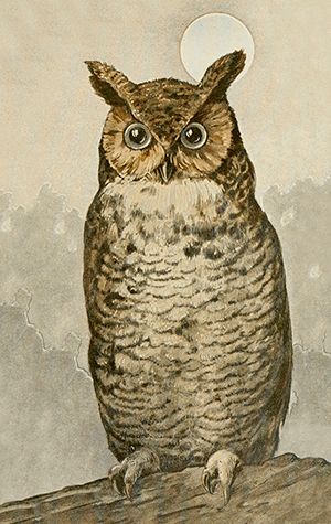 Sköna Ting minikort enkle 25-pakk