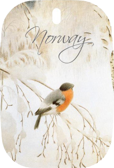 N�kkelring turistmotiv  Norway