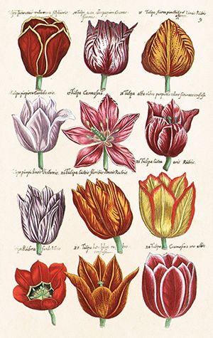 Sköna Ting minikort enkle 25-pakk