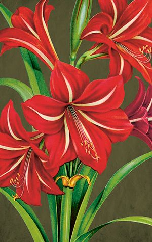 Sköna Ting minikort enkle 25-pakk