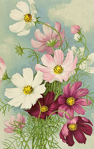 Sköna Ting minikort enkle 25-pakk