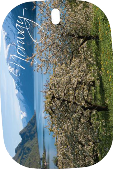 N�kkelring turistmotiv  Norway