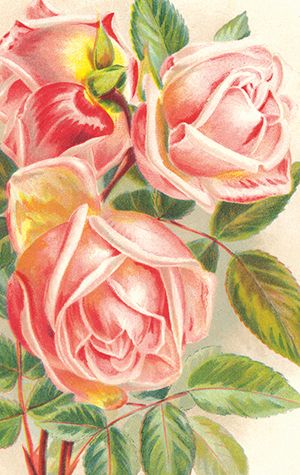 Sköna Ting minikort enkle 25-pakk